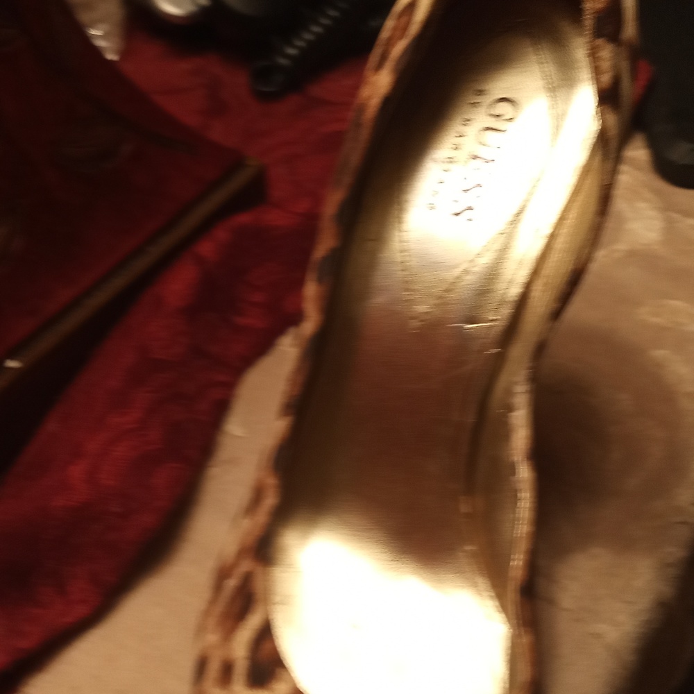 Pair of leopard print heels
